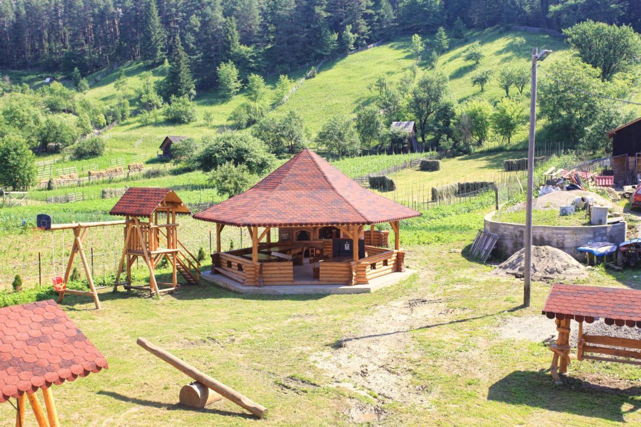 Pensiunea Paradiso Poiana Teiului 외부 사진
