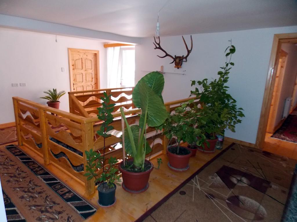 Pensiunea Paradiso Poiana Teiului 외부 사진